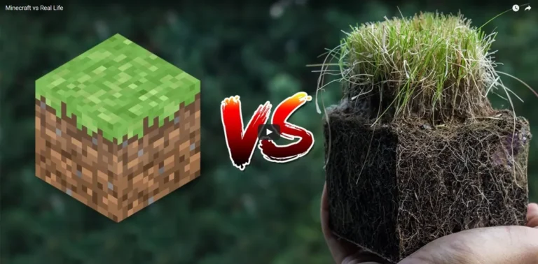 Minecraft vs Real Life