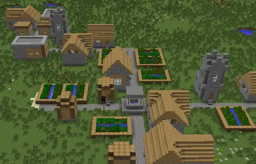 Village