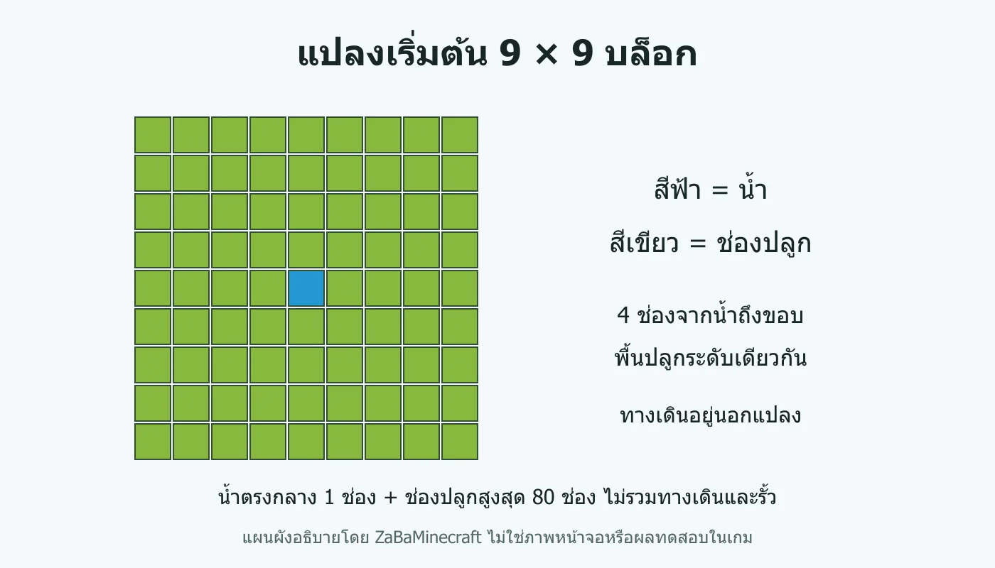 แปลงเริ่มต้น 9 × 9 บล็อก: น้ำตรงกลาง 1 ช่อง + ช่องปลูกสูงสุด 80 ช่อง ไม่รวมทางเดินและรั้ว